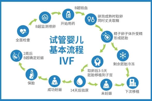 第三方试管助孕方案有哪些