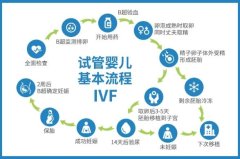 第三方试管是怎么回事