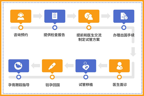国外第三方助孕流程